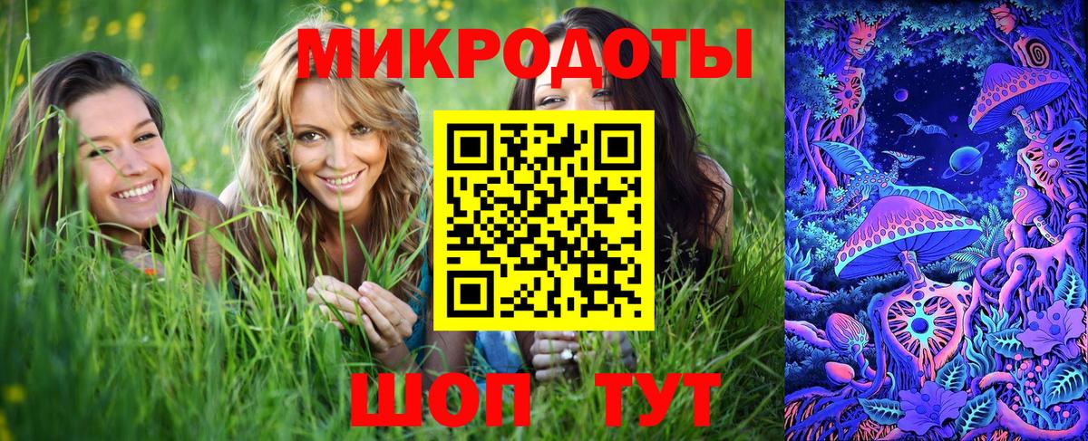 Армавир  Псилоцибиновые грибы Cubensis  Вход с VPN 