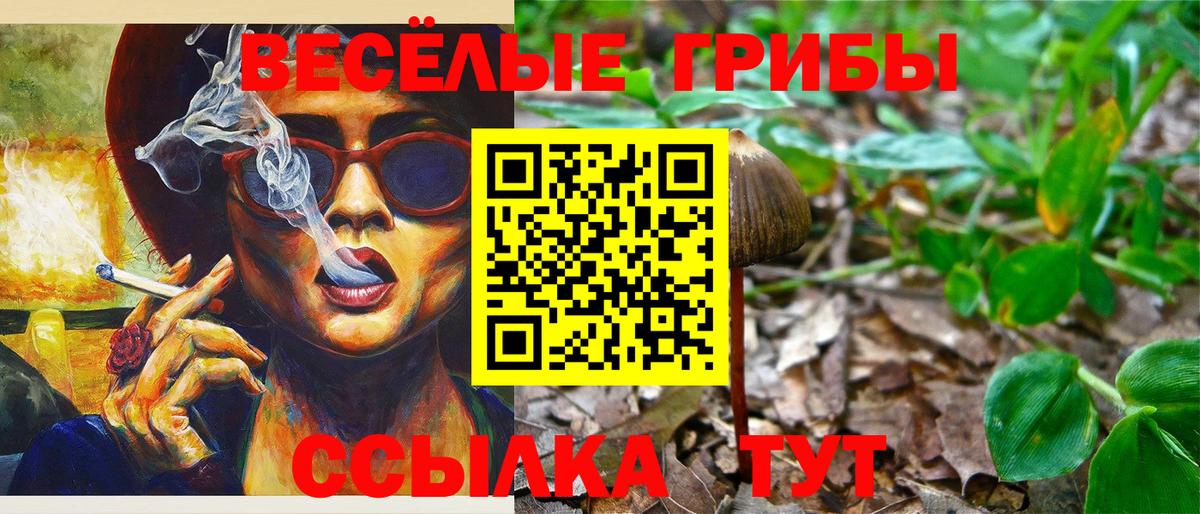 Галлюциногенные грибы Psilocybine cubensis Армавир